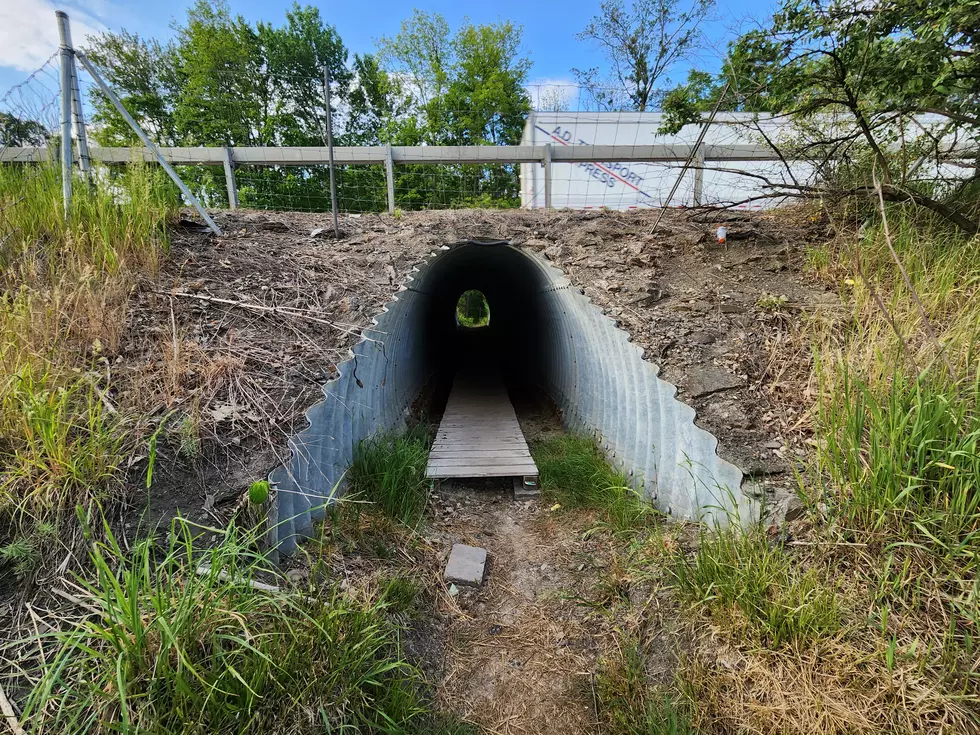 Visitors can access the Apalachin Marsh by walking through a tunnel under the Route 17 Expressway. (Photo: Bob Joseph/WNBF News)