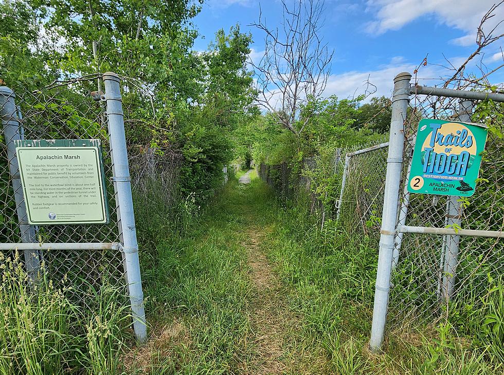 Vestal Woman Who “Saved” Apalachin Marsh from Expressway Honored