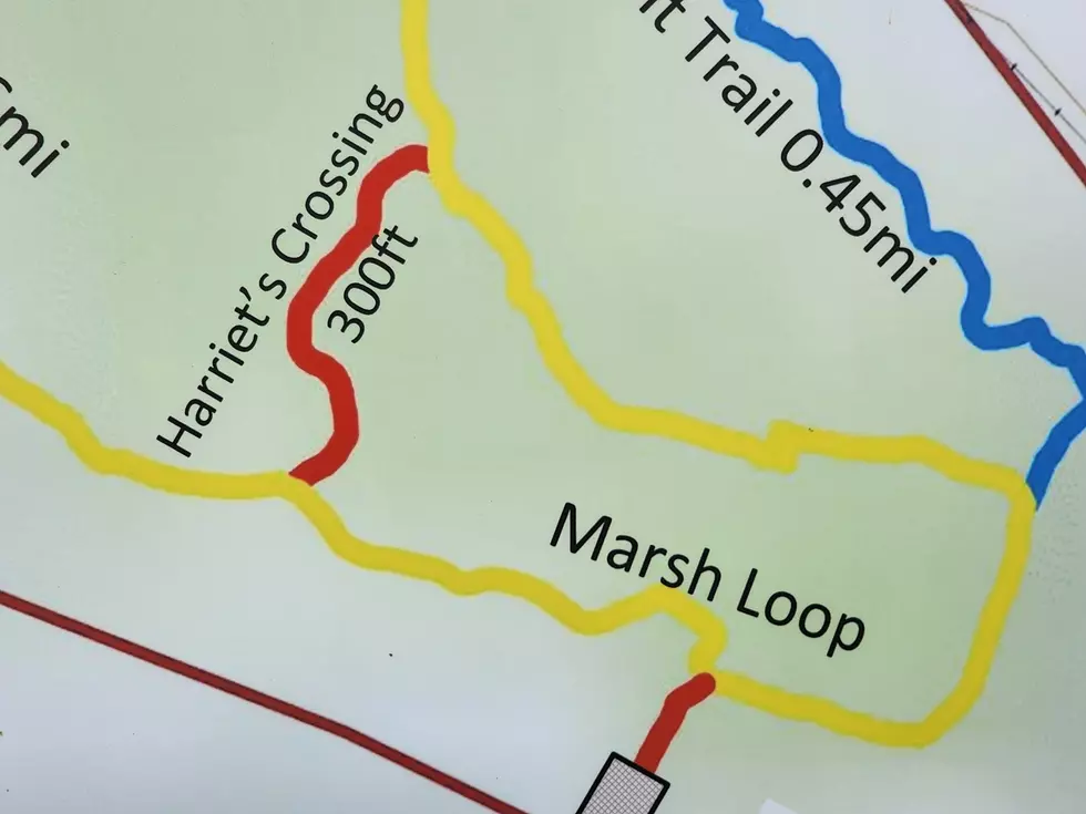 A trail in the Apalachin Marsh wetland area has been named in honor of the late Harriet Marsi. (Photo: Bob Joseph/WNBF News)