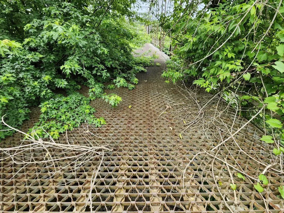 The deck of the Center Village Bridge on June 22, 2023. (Photo: Bob Joseph/WNBF News)