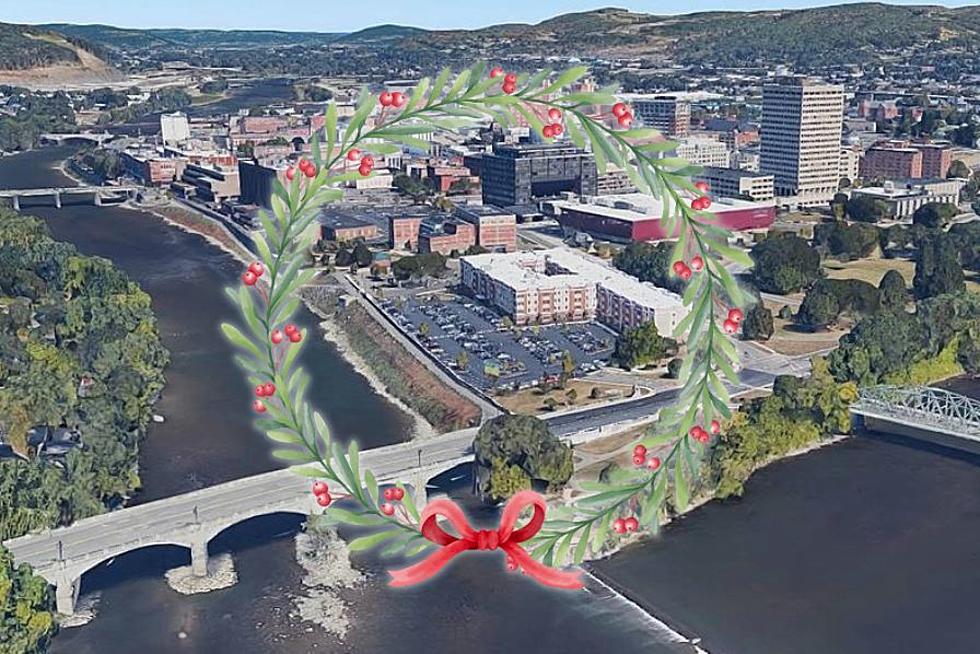 Binghamton Welcomes All to Special Holiday Tree Lighting Event