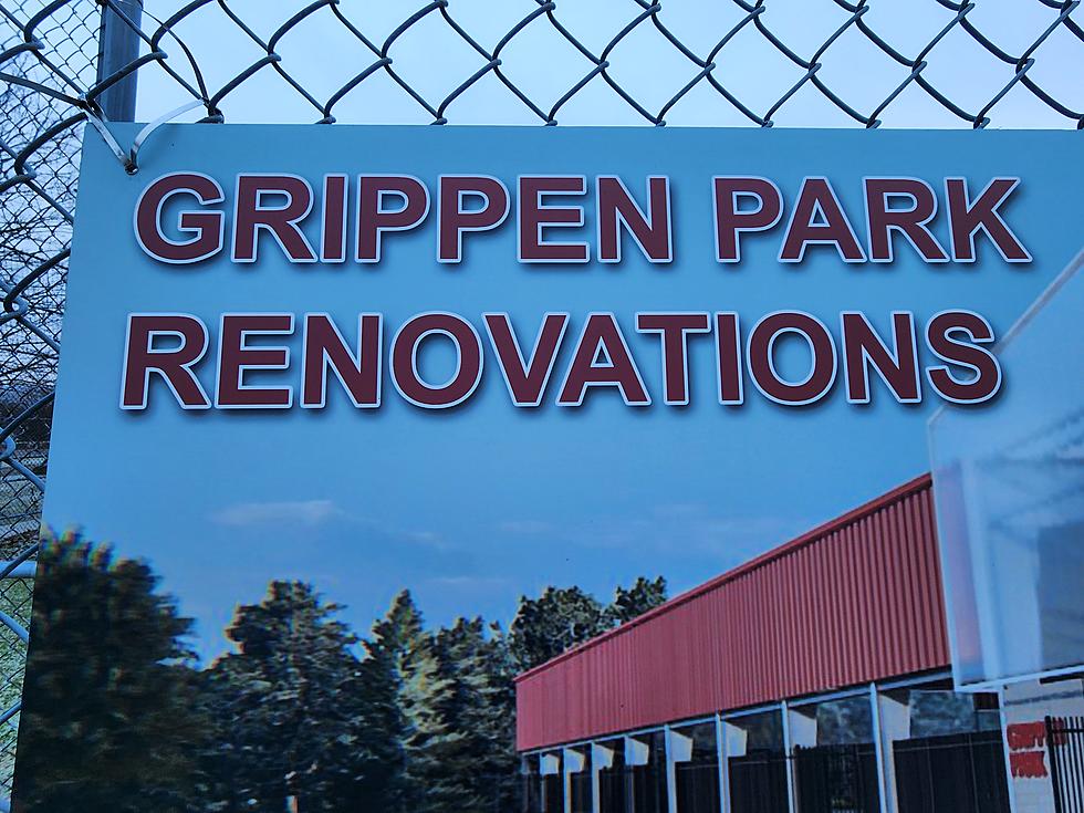 $3 Million Makeover About to Start at Grippen Park in Endicott