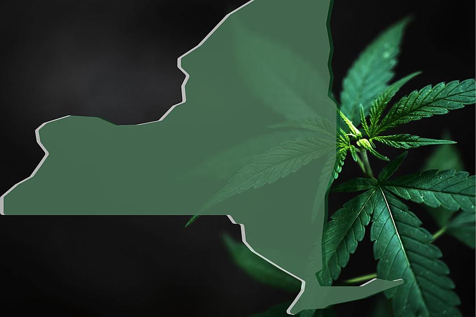 Federal Judge Rejects Challenge to New York’s Marijuana Licensing Program