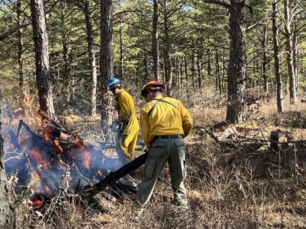 Why New York Forest Rangers Intentionally Set Forest Fires This Month