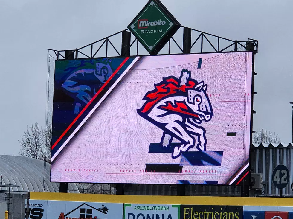 Binghamton Rumble Ponies Being Sold by David Sobotka