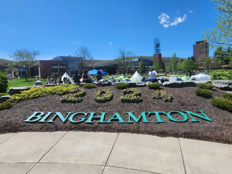 Pro-Palestinian Encampment Set Up at Binghamton University