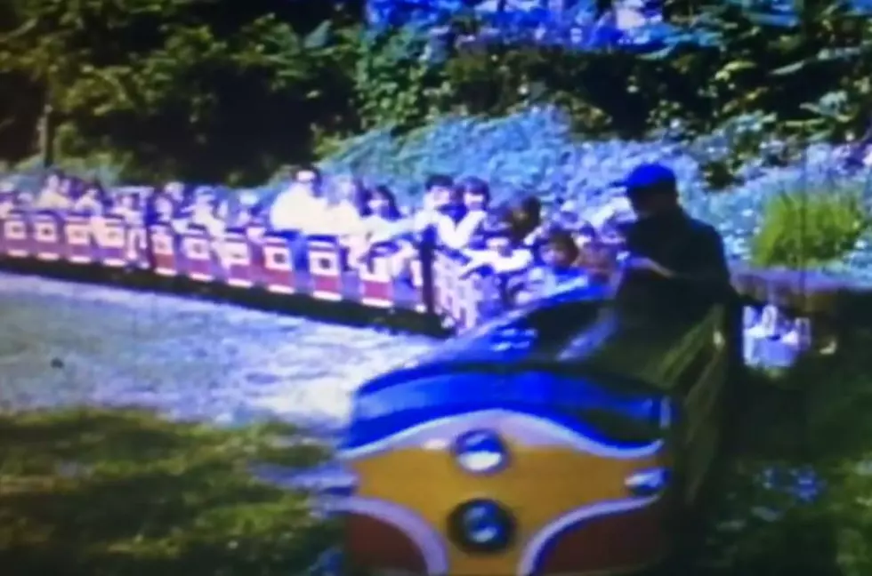 Did You Visit These Local New York & PA Amusement Parks Of The Past?