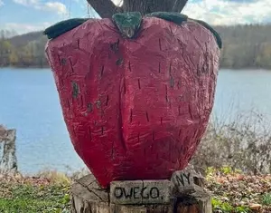 Help Rebuild Owego New York’s Iconic Strawberry