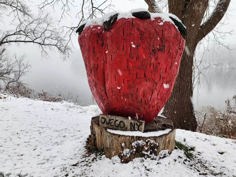 FLASHBACK: A frosty view of the Owego Strawberry as snow fell along the Susquehanna River on December 11, 2022. (Photo: Bob Joseph/WNBF News)