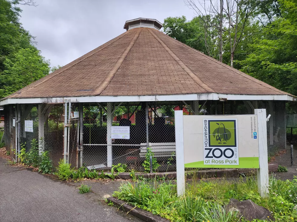 Whoa! Historic Ross Park Carousel May Not Run Again Until 2026