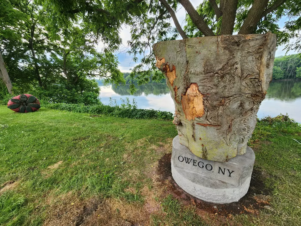 A chunk of beech wood sat near the original Owego Strawberry on Front Street on June 14, 2024. (Photo: Bob Joseph/WNBF News)