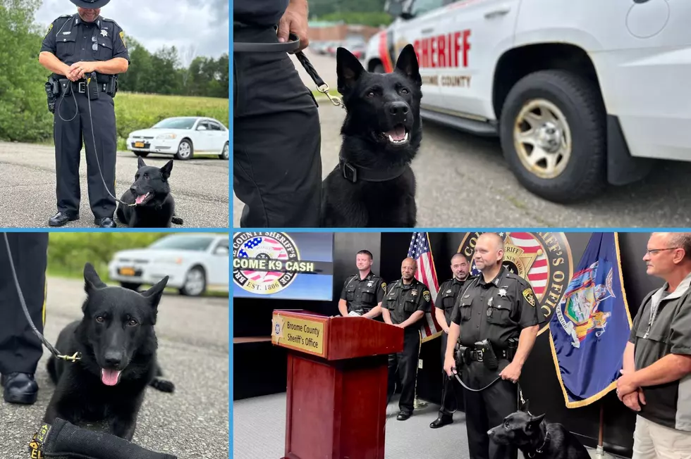 Welcoming K9 Cash To The Broome County Sheriff’s Family
