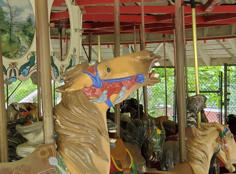 FLASHBACK: The carousel at Ross Park in Binghamton on May 24, 2021. (Photo: Bob Joseph/WNBF News)