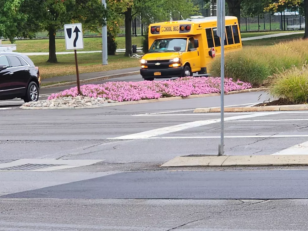 The Vestal Parkway at the main entrance to the Binghamton University campus on September 23, 2025. (Photo: Bob Joseph/WNBF News)