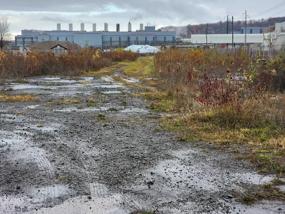 A section of the abandoned Endicott Forging site on November 13, 2025. (Photo: Bob Joseph/WNBF News)