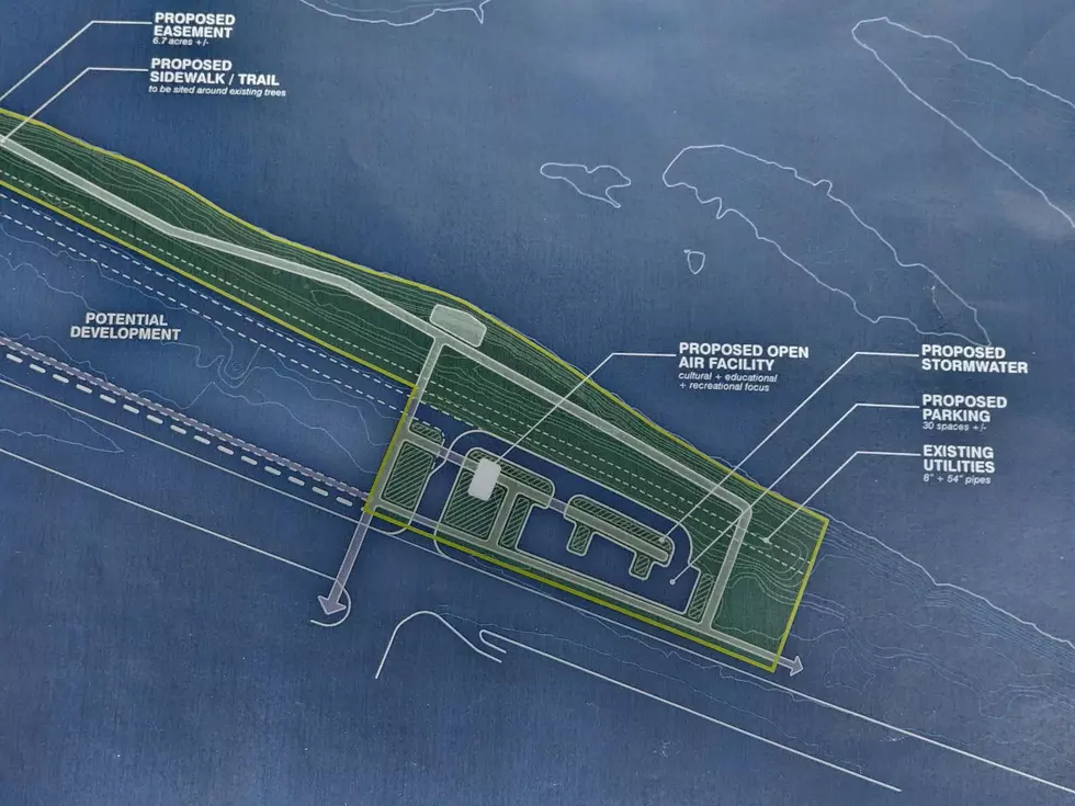 A section of a proposal to redevelop properties along the Vestal Parkway East. (Photo: Bob Joseph/WNBF News)