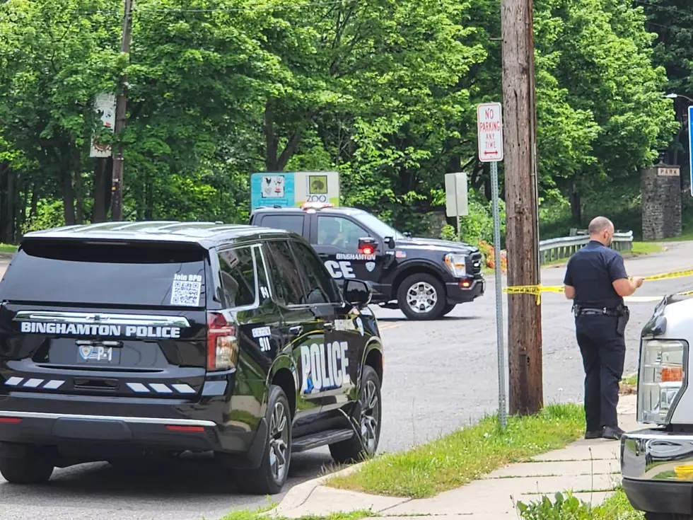 Binghamton police vehicles near the intersection of Park Avenue and Morgan Road on June 14, 2026. (Photo: Bob Joseph/WNBF News)