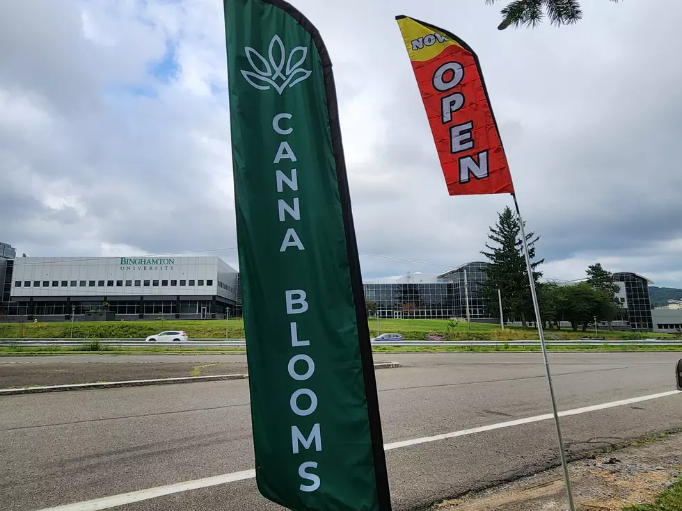 Canna Blooms is across the Vestal Parkway from the Binghamton University campus. (Photo: Bob Joseph/WNBF News)