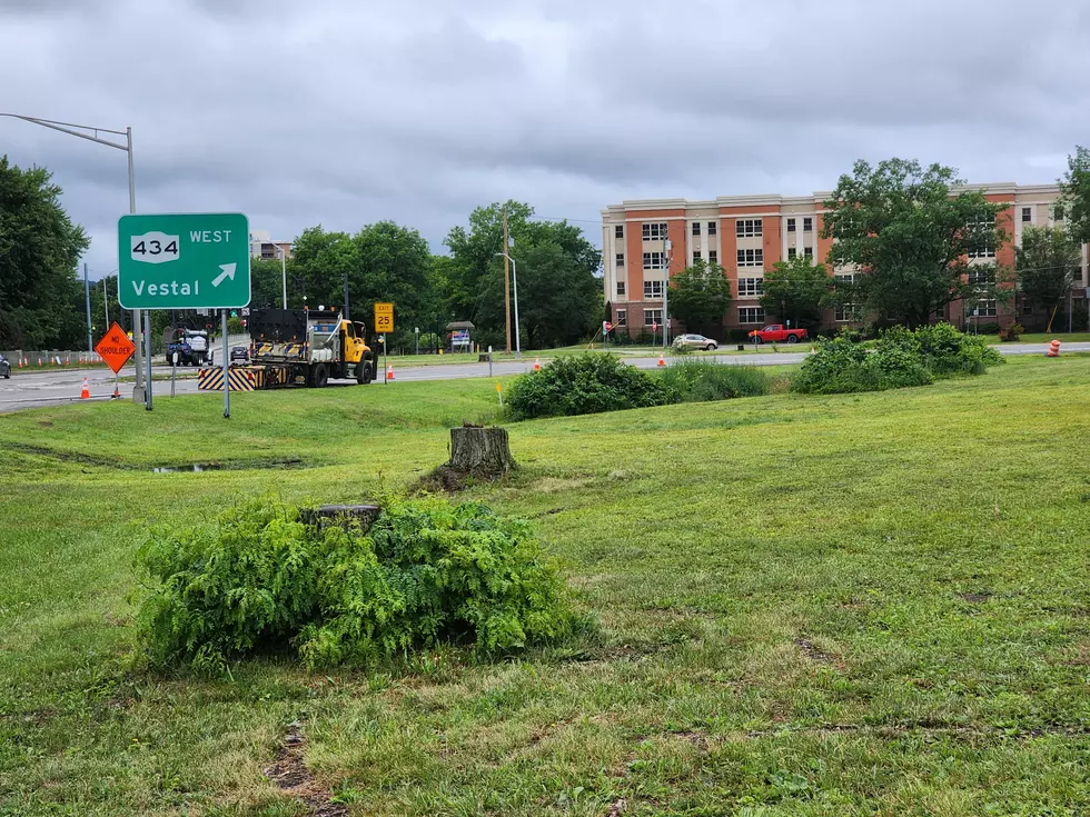 Trees and brush were cleared from land east of the Memorial Bridge in preparation for the Route 363 project. (Photo: Bob Joseph/WNBF News)