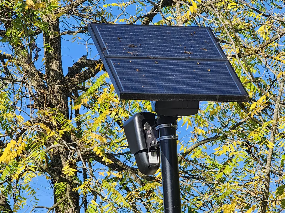 A Flock Safety automatic license plate reader on Robert Street near a Binghamton apartment complex. (Photo: Bob Joseph/WNBF News)