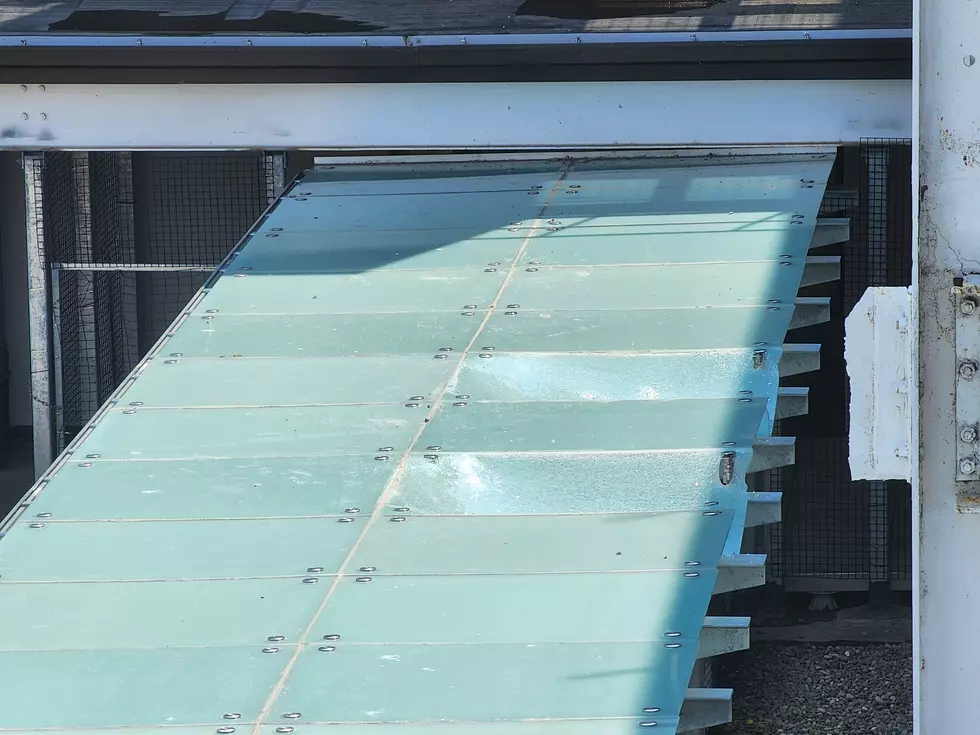 Two damaged panels covering the walkway near Boscov's in downtown Binghamton were visible on August 12, 2026. (Photo: Bob Joseph/WNBF News)