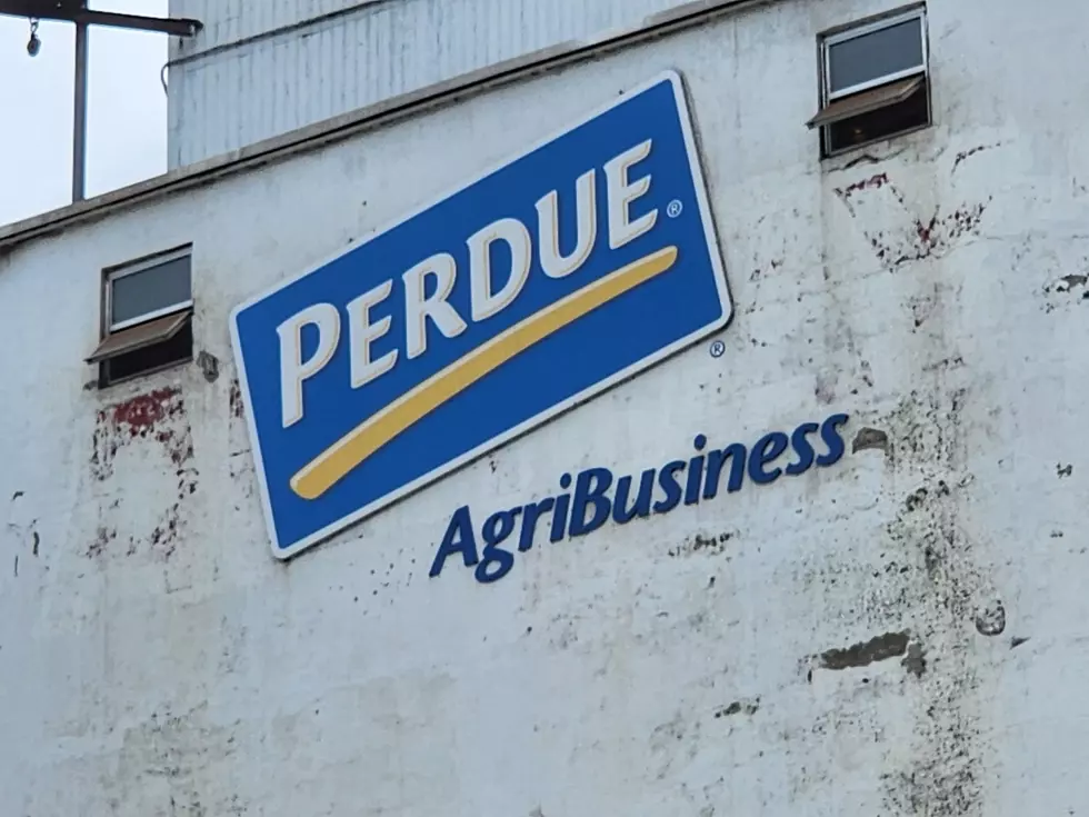 The Perdue AgriBusiness blending facility on Montgomery Street in Binghamton on August 17, 2026. (Photo: Bob Joseph/WNBF News)