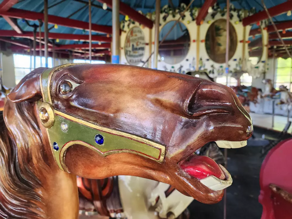 A horse on the West Endicott carousel on May 12, 2026. (Photo: Bob Joseph/WNBF News)
