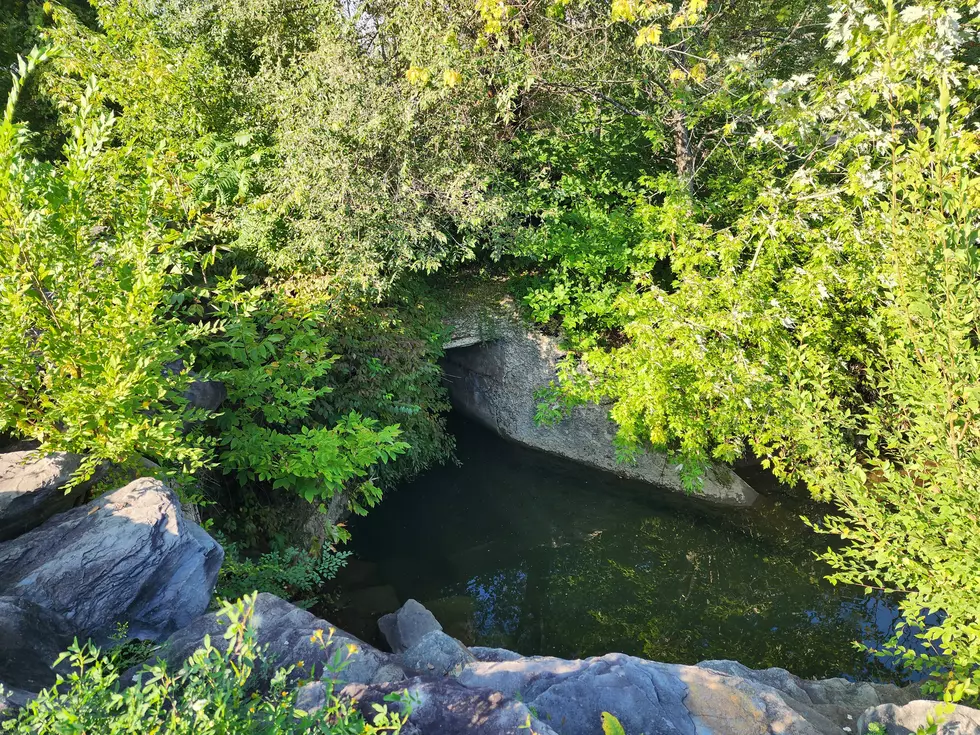A small creek is located down an embankment on the south side of the Vestal Rail Trail. (Photo: Bob Joseph/WNBF News)