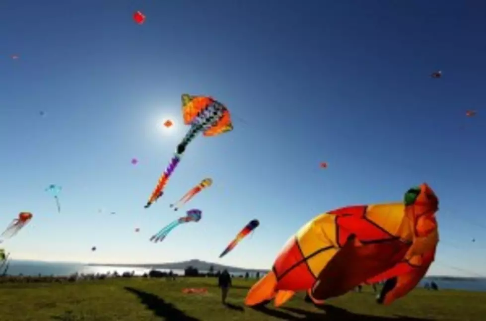 Kites In The Park, Don&#8217;t Miss It April 17th