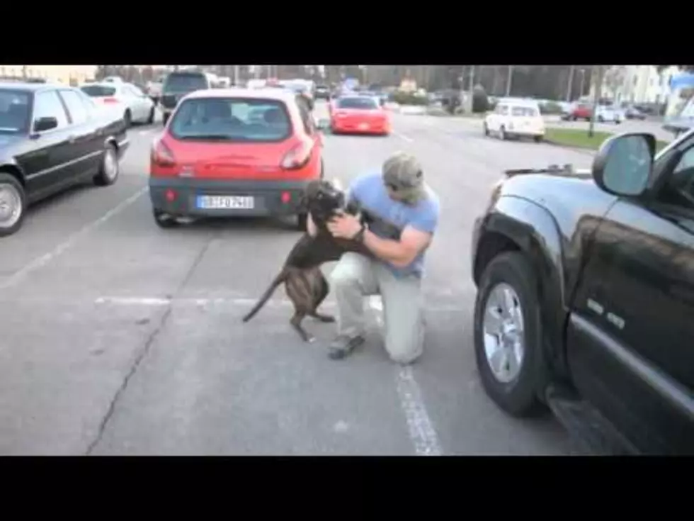 Dog Named Chuck Welcomes Soldier Home [VIDEO]