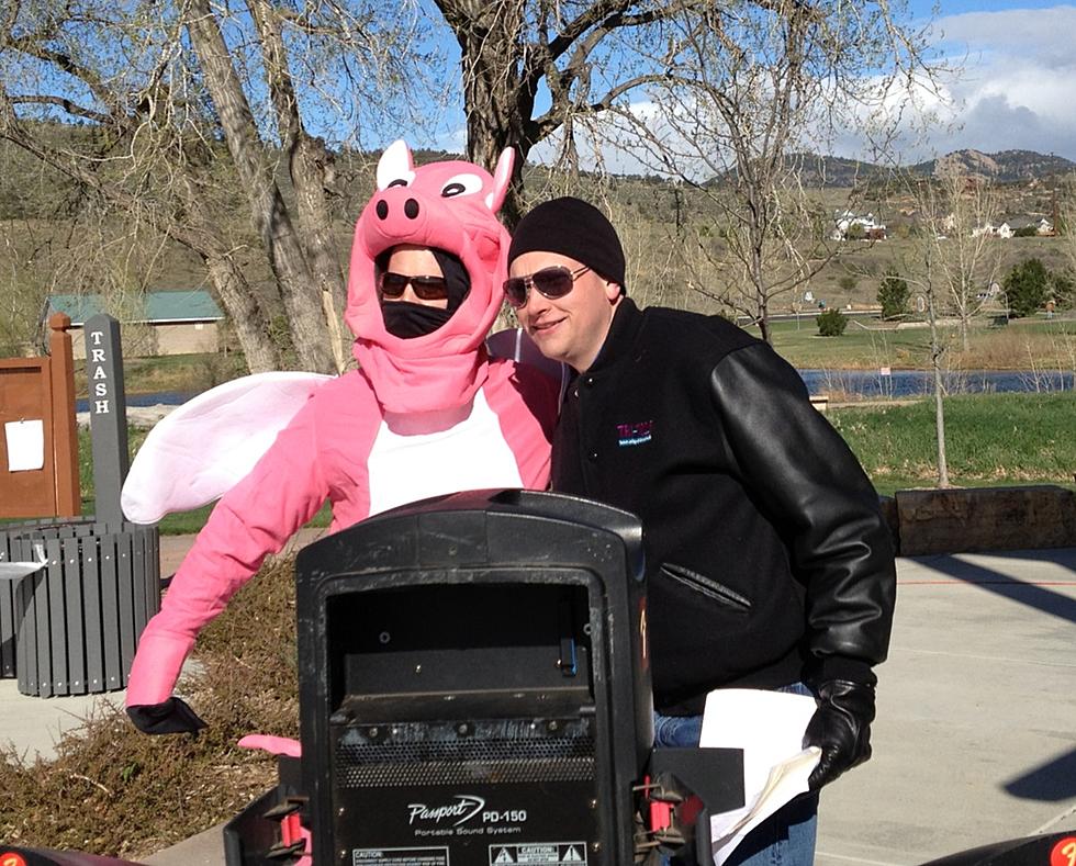 Another Fun ‘Flying Pig 5K’ in Fort Collins – Results Are Posted