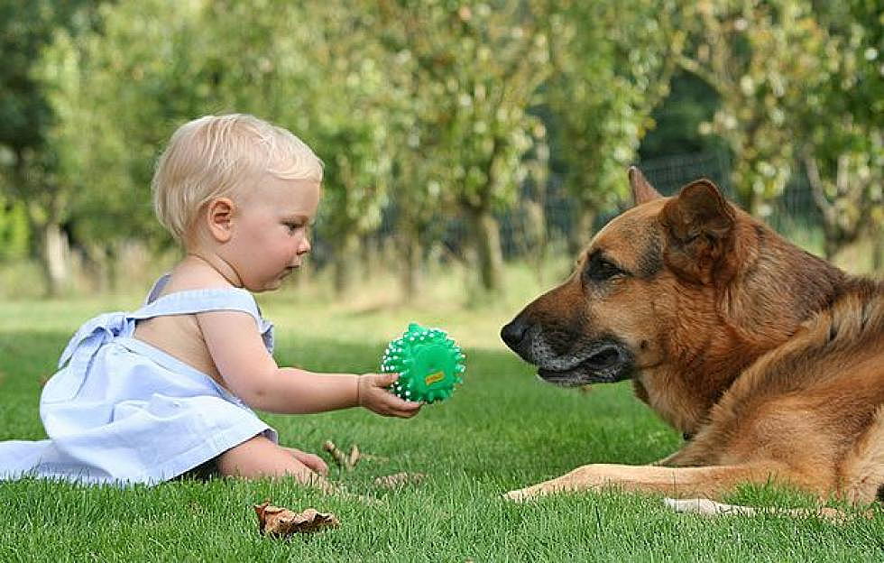 Man’s Best Friend May Also Be Children’s Best Friend Since Study Reveals Dogs Keep Babies Healthy