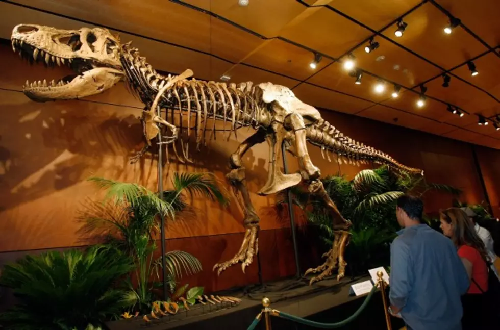 Billionaire Clive Palmer Plans To Build Real-Life Jurassic Park