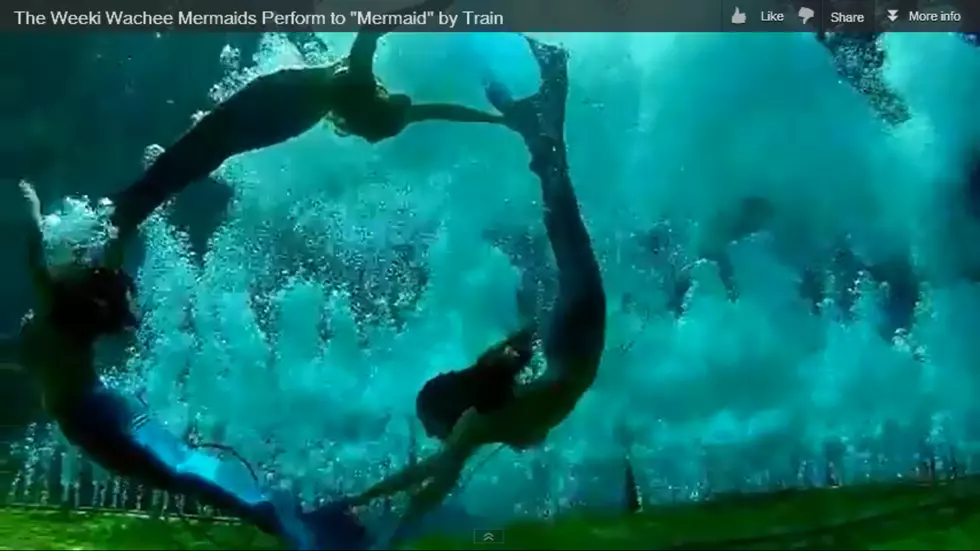 Real Life Mermaids Perform to Train&#8217;s &#8220;Mermaid&#8221; [Video]
