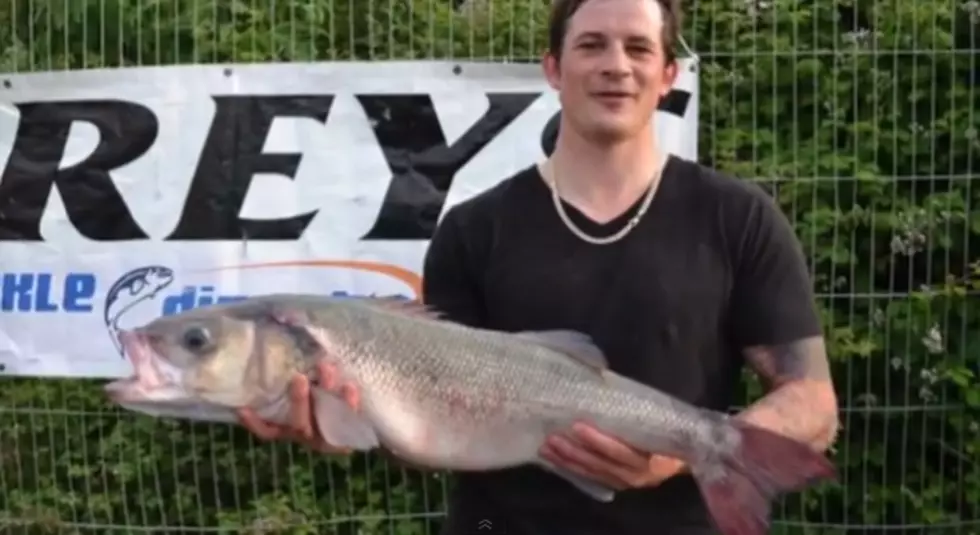 Winner Of Fishing Contest Stole Winning Fish From Aquarium