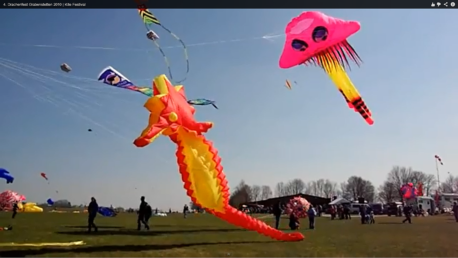 cedar park kite festival