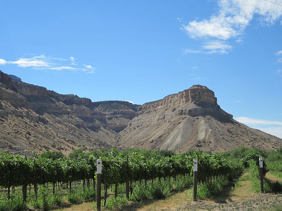 Wine Country in Palisade/Grand Junction – Colorado Trip Advice [Guide]