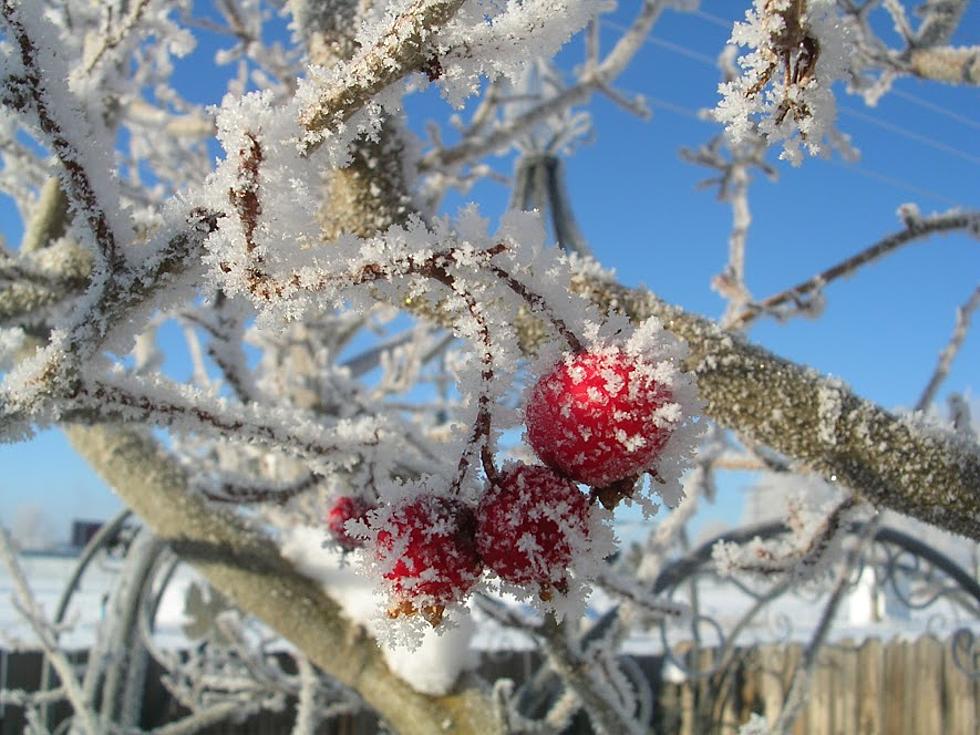 Fort Collins Winter Storm Watch – Sub-Zero Temperatures Coming To Front Range