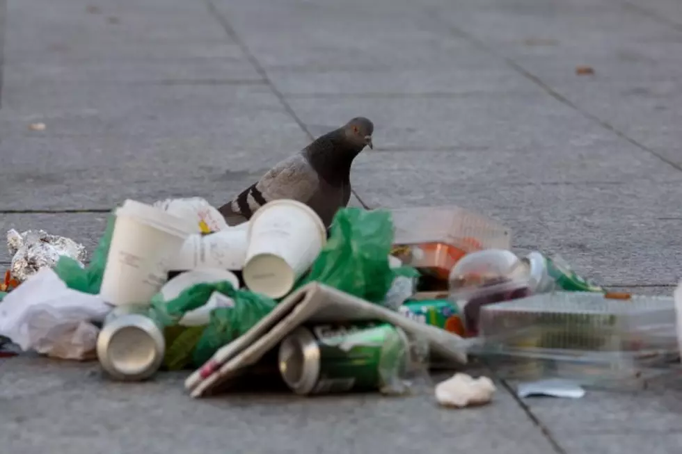 You Might Go to Jail in Boulder for Littering (Again)