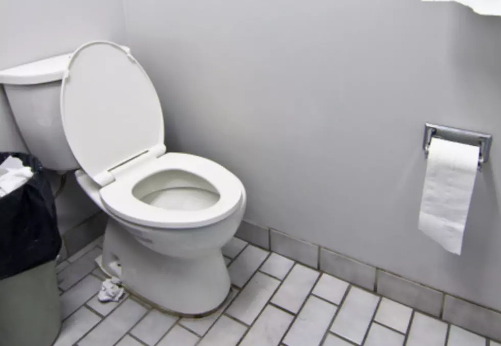 The Case Of The Stolen Hotel Toilet