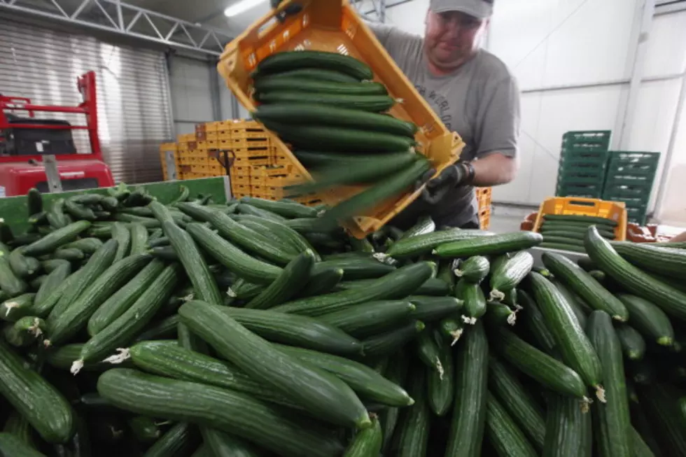 Colorado Cucumbers Recalled for Possible Salmonella Contamination