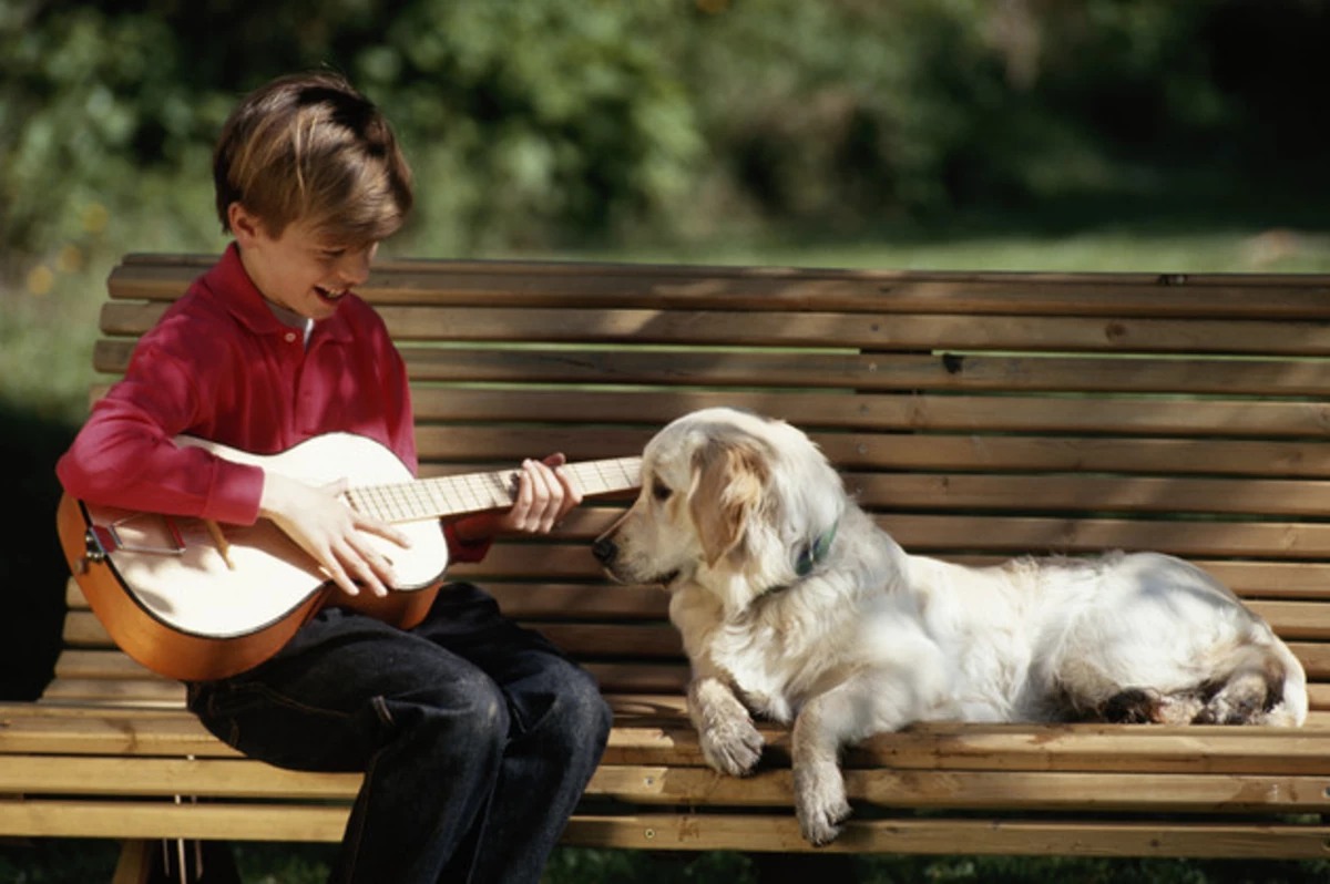 Музыка звери лучшие. Животные с музыкальными инструментами. Щенок с гитарой. Собака с музыкальным инструментом. Мальчик гитара собака.