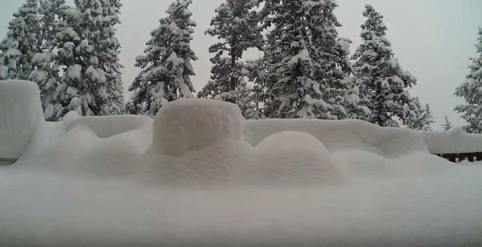 Watch 4 Feet of Snow Pile Up in Evergreen in Less Than 45 Seconds