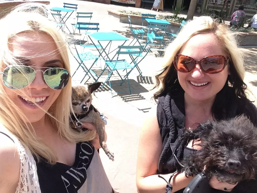 Date Your Dog: Summer Date Ideas [VIDEO]