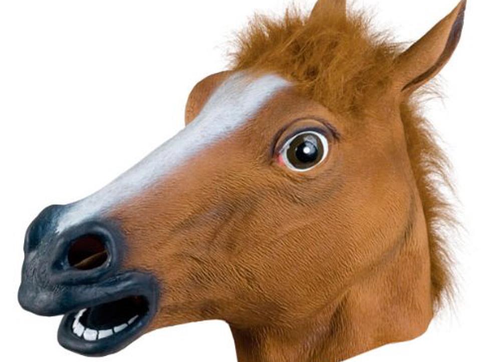 Horse Mask Man Robs a Poker Game in Northern Colorado Residence