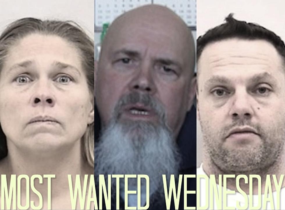 Most Wanted Wednesday &#8211; Larimer County and Pikes Peak Area [PHOTOS]