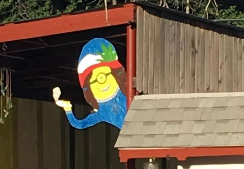 Minions Smoking Pot in the Backyard (Only in Colorado)