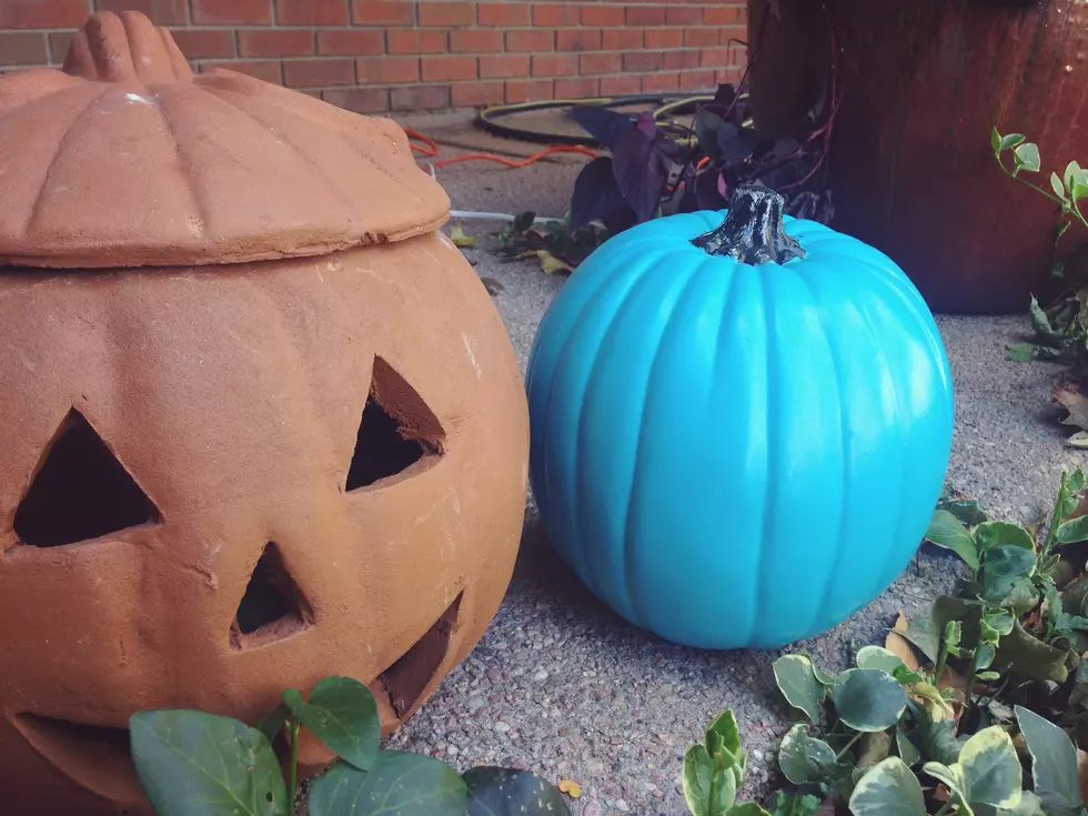 Why Northern Coloradans Will Have a Teal Pumpkin on Their Porch This Halloween