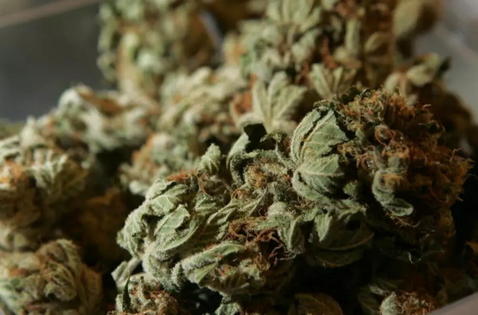Former Broncos Quarterback to Be Guest Bud Tender at Colorado Marijuana Dispensary
