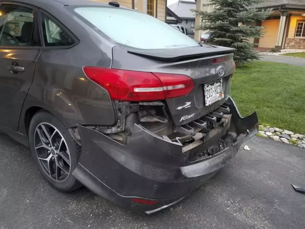 A Bear Rips The Bumper Off A Car Trying To Get Inside For Donuts